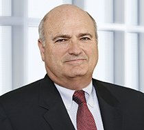 Co-Chair Stephen E. Goldman